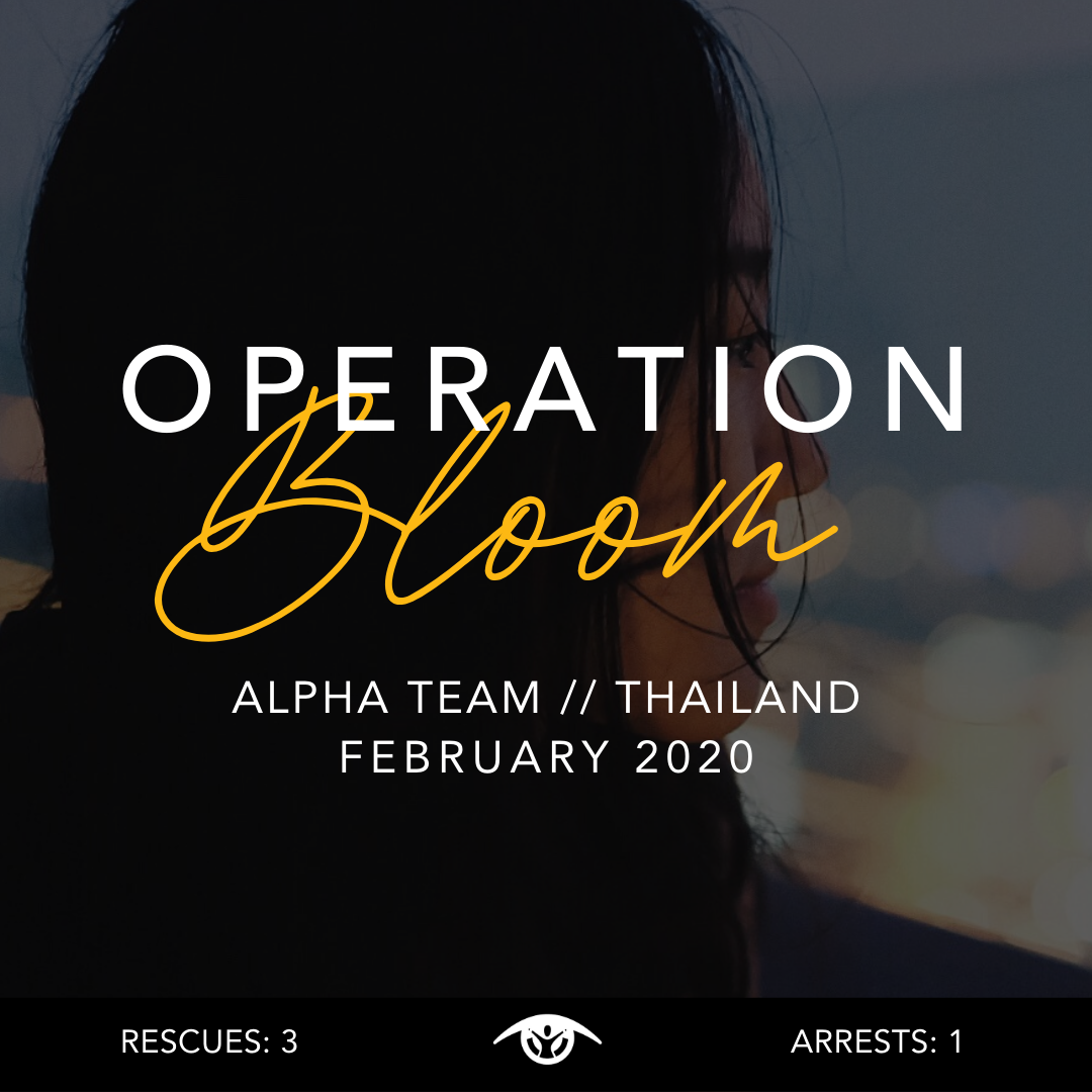 Operation Bloom
