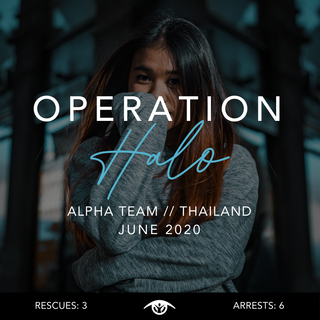 Operation Halo